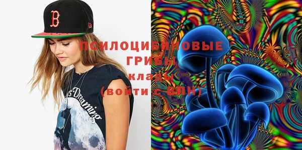 бутират Мегион