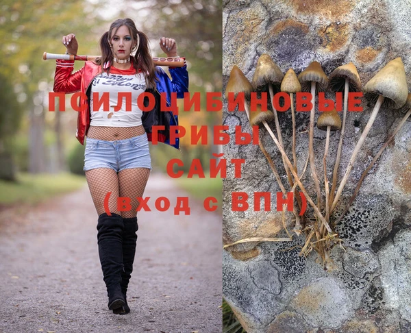 бутират Мегион