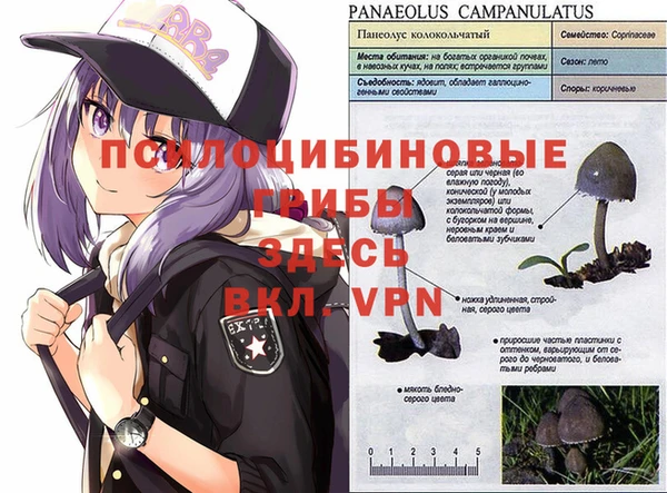 гидропоника Медногорск