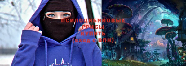 гидропоника Медногорск