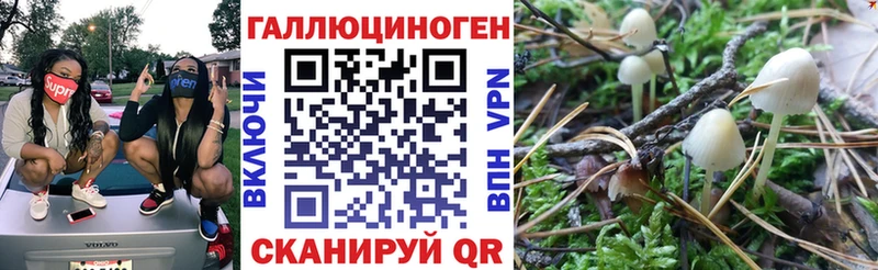 Псилоцибиновые грибы ЛСД  Купить где  Полесск 